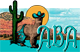 Alpaca Breeders of Arizona